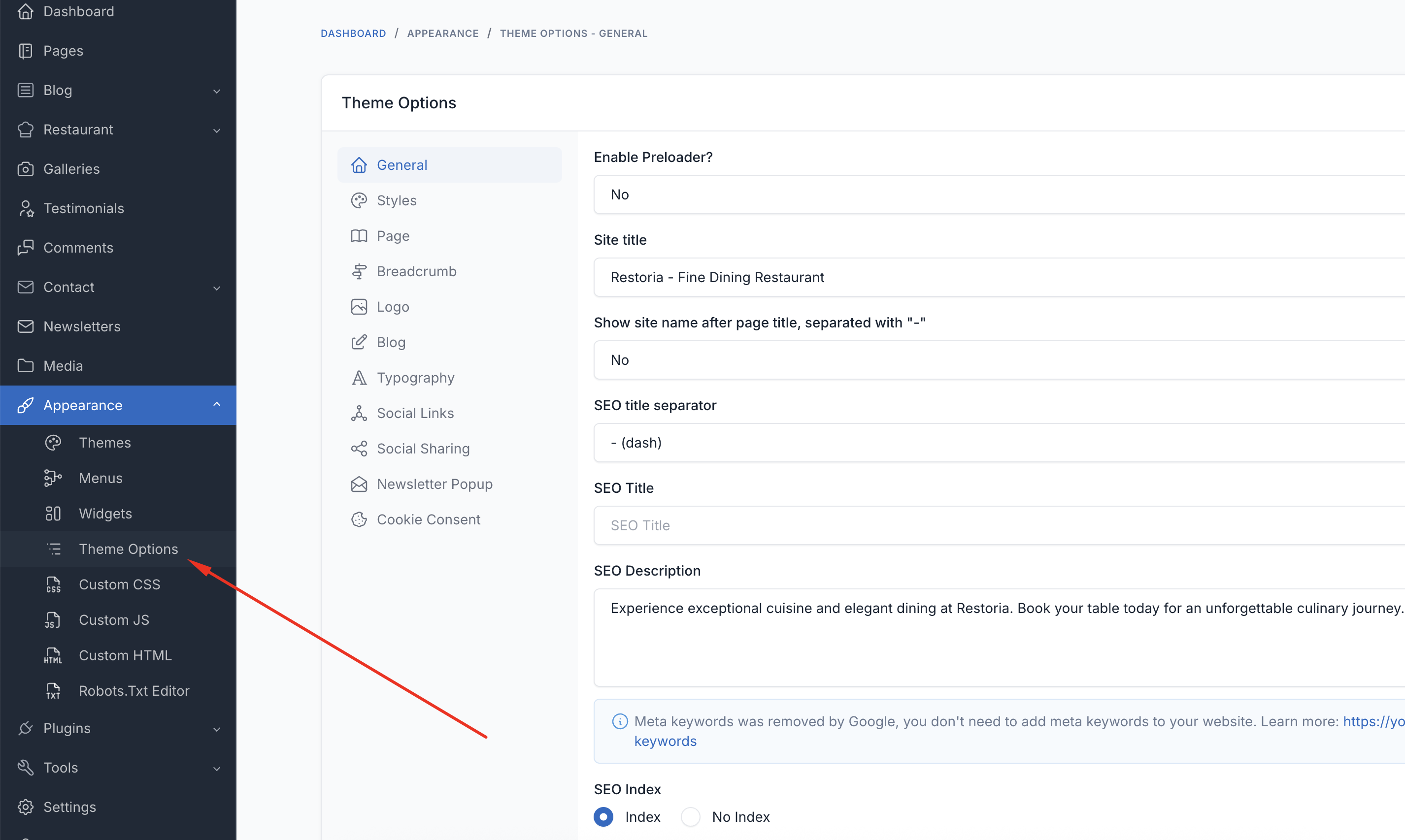 Theme Options Overview
