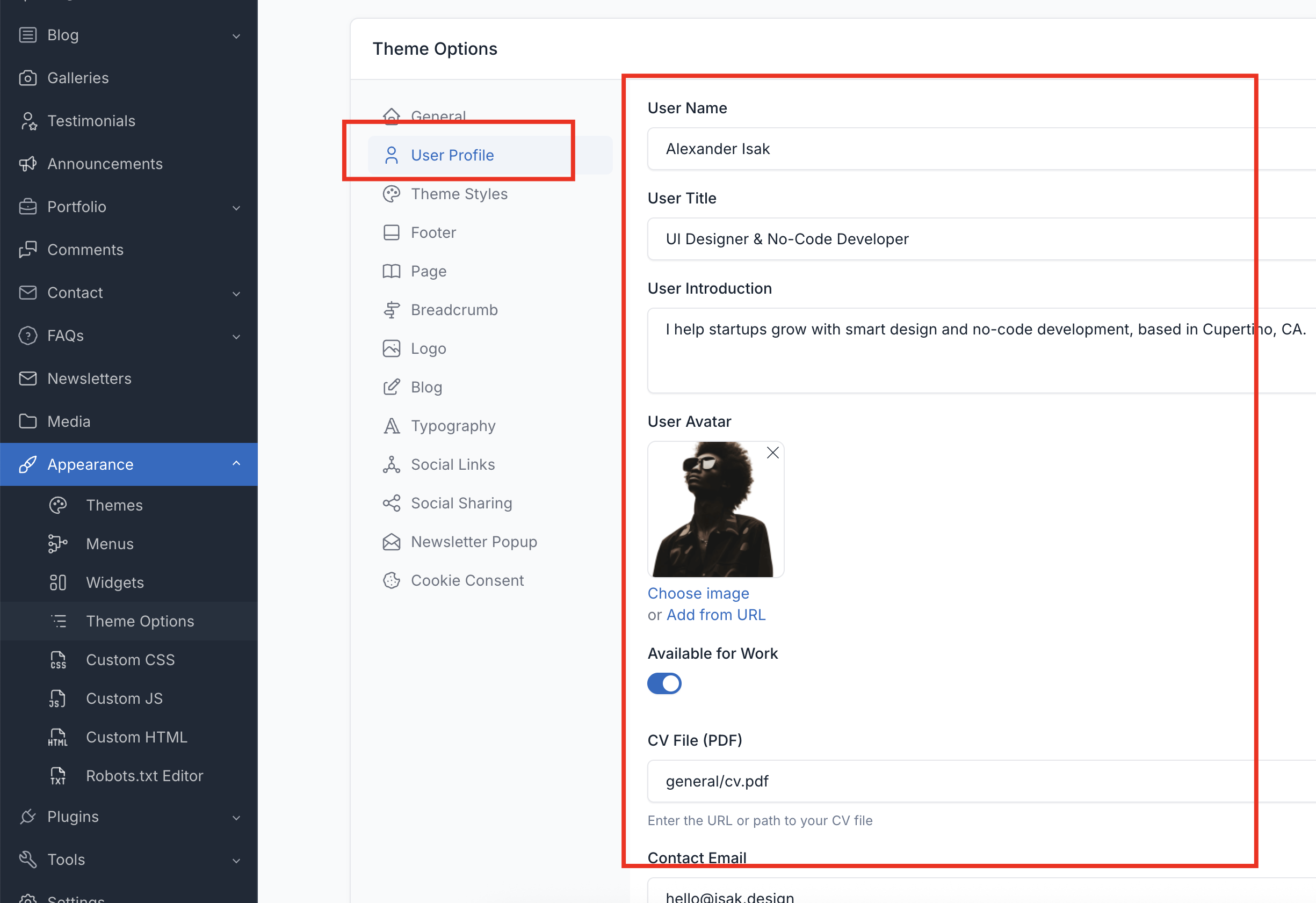 User Profile Theme Options